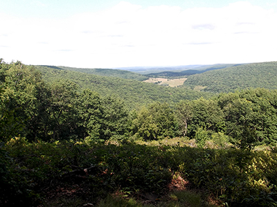 Beulahland Vista
